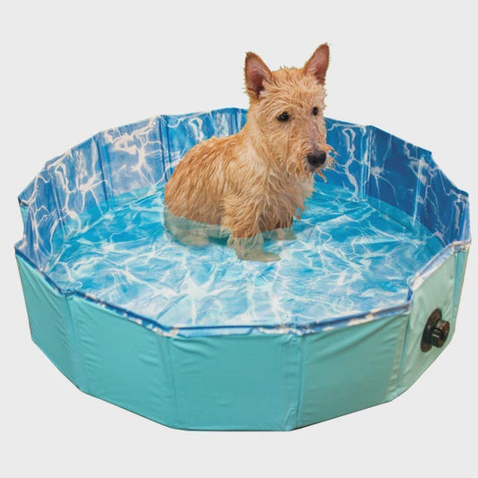 Dog Swimming Pool